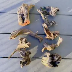 アクアリウム用流木 9つセット