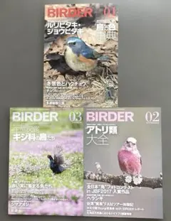 BIRDER 2018年 1〜3月号