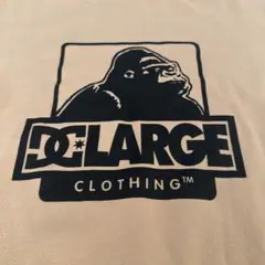 レア XLARGE DC 2100