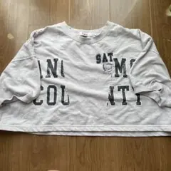 ピンクラテクロップドTシャツ　L