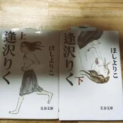 逢沢りく 上下巻セット