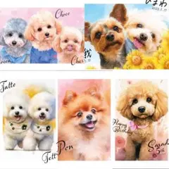 Item thumbnail for item 912aae1e-5399-489d-b745-8dfddaa3b516