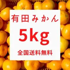 甘くて美味しい有田みかん5キロ★S〜Mサイズ
