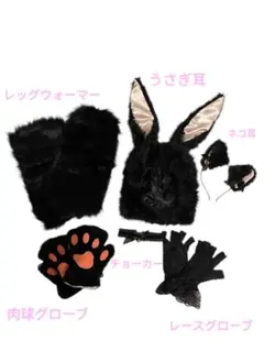 Item thumbnail for item fa3955ff-7bd7-47a7-a27b-df18c53180e5
