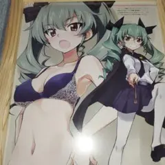 ガールズ＆パンツァー 　アンチョビ　B5サイズ　額装