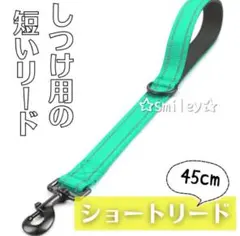 Item thumbnail for item 6427b3e8-a9e9-4df4-9406-413954f60c4a