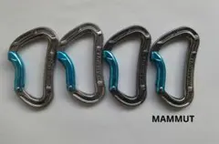 マムート カラビナ