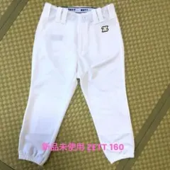 ZETT ゼット 少年用 野球 パンツ 160