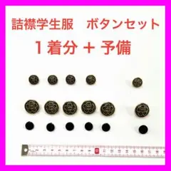 Item thumbnail for item a71c3806-fd9e-4d50-b041-4db2ba726741