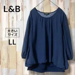 L&B 大きいサイズ シフォンドットシアーブラウス ボリュームスリーブ LL