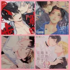 BLコミック４冊セット／まとめ売り