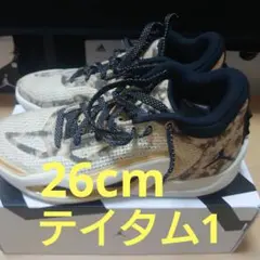 ナイキ ジョーダン テイタム バスケ ジム ストリート バッシュ
