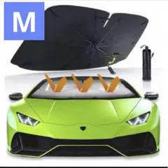 Item thumbnail for item 6d07da61-076b-40cc-a308-3a83a6fbbebf