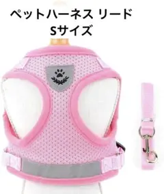 Item thumbnail for item 27cb85de-1014-44bb-b8e6-c8c1014cd98e