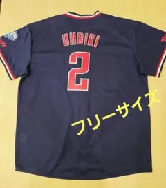 Item thumbnail for item 6c283ea9-81f8-4951-bd21-d7fde0c5846f