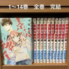 素敵な彼氏　全巻　完結　1〜14巻