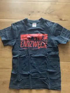 Endzweck Tシャツ　Sサイズ　黒