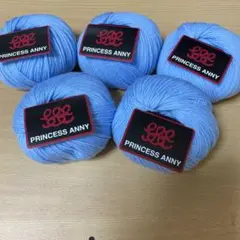 PRINCESS ANNY 水色毛糸 5個セット