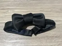 Item thumbnail for item 8133d483-309c-4079-a33e-e72376826645