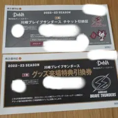 DeNA株主優待 川崎ブレイブサンダース チケット引換証 グッズ来場引換券