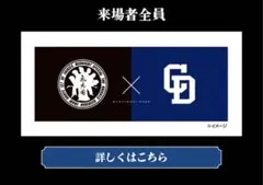 中日ドラゴンズ 氣志團コラボ手ぬぐい