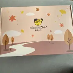 ［新品未開封］chocoZAP 秋キット セット