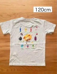 訳あり【新品未使用】 ピクミン　キッズTシャツ　半袖Tシャツ　120cm