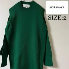 AKIRA NAKA(アキラナカ)フェイクアーム ワンピース/2/グリーン