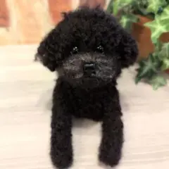 Item thumbnail for item c5d5cd6d-4ec6-4057-91b8-f78843921ab6