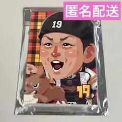 福岡ソフトバンクホークスTVQコラボ　パタパタメモ　甲斐選手