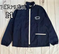 Item thumbnail for item 5ccbda94-62c2-4178-81a1-4aa76fbb3c1a
