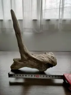 Item thumbnail for item 32f84d99-4942-4858-8ee1-35795e06f0a6