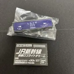JR新幹線駅標ロゴライトチャーム・新鳥栖