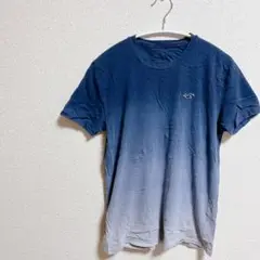 Hollister グラデーション 半袖Tシャツ