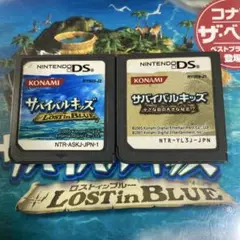 動作確認　サバイバルキッズ Lost in Blue 小さな島の大きな秘密