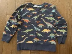 H&M 恐竜　ダイナソー　トレーナー 100㎝　98/104 2歳〜4歳　裏起毛