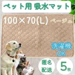 Item thumbnail for item d651a94f-f0a8-4866-94f6-8edf0b41ef5a