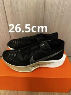 Item thumbnail for item 484e965a-10dd-4bed-a25d-f49df4c9d671