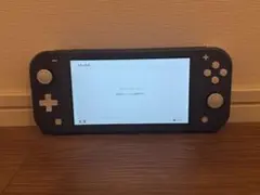 Nintendo Switch Lite グレー 本体