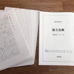 鉄緑会　高3 夏期講習　現代文と古典　テキスト、解答一式　2023 2025年最新】鉄緑会夏期講習古典の人気アイテム - メルカリ
