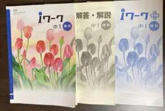 Item thumbnail for item bd6a4ca4-40e3-4c0a-b8a9-9a0811cc4cb2