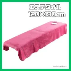 PETSOLA ２サイズ ベッドタオル エステタオル 穴付き ベッドシーツ