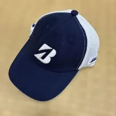 Item thumbnail for item 738a971d-8bd4-44d9-b658-59f4d310cb06