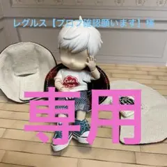 おでかけ座椅子オーダー専用ページ
