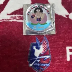 ファジアーノ岡山　本山遥選手　ゆらゆらアクリル