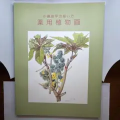 『薬用植物画譜』刈米達夫　小磯良平　武田薬報表紙絵150点　芸術的学術書　大型本 薬用植物画譜」 小磯良平・刈米達夫（1971）