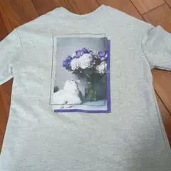 Item thumbnail for item 8014552e-4fe0-497d-9674-5bf11169d33f