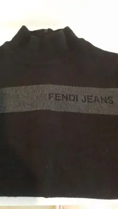 フェンディニット