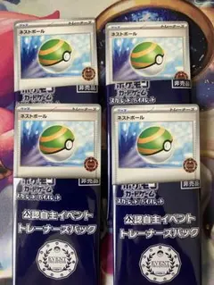 ネストボール　オーガナイザー　プロモ