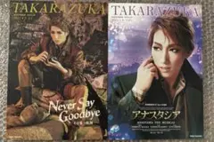宝塚　宙組　never say never アナスタシア　パンフレット　真風涼帆